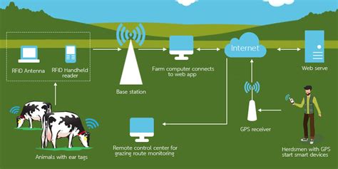 rfid based livestock tracking application|allflex livestock tags.